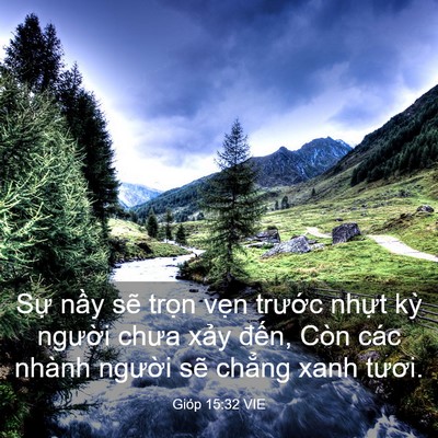 Picture 03 - Gióp 15:32 VIE - Sự nầy sẽ trọn vẹn trước nhựt kỳ - Bible Verse Picture