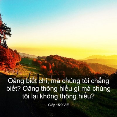 Picture 03 - Gióp 15:9 VIE - Oâng biết chi, mà chúng tôi chẳng biết? - Bible Verse Picture