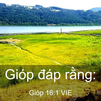 Picture 03 - Gióp 16:1 VIE - Gióp đáp - Bible Verse Picture