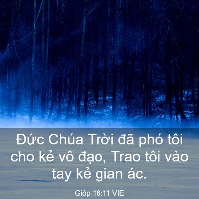 Picture 03 - Gióp 16:11 VIE - Đức Chúa Trời đã phó tôi cho kẻ vô - Bible Verse Picture