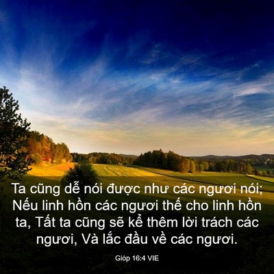Picture 03 - Gióp 16:4 VIE - Ta cũng dễ nói được như các ngươi - Bible Verse Picture