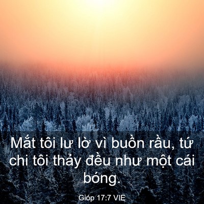 Picture 03 - Gióp 17:7 VIE - Mắt tôi lư lờ vì buồn rầu, tứ chi - Bible Verse Picture