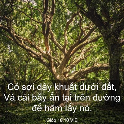 Picture 03 - Gióp 18:10 VIE - Có sợi dây khuất dưới đất, Và cái - Bible Verse Picture