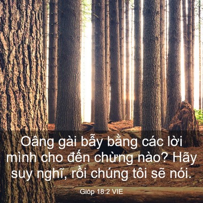 Picture 03 - Gióp 18:2 VIE - Oâng gài bẫy bằng các lời mình cho - Bible Verse Picture