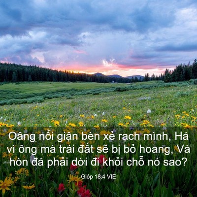Picture 03 - Gióp 18:4 VIE - Oâng nổi giận bèn xẻ rạch mình, Há - Bible Verse Picture