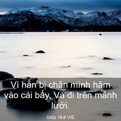 Picture 03 - Gióp 18:8 VIE - Vì hắn bị chân mình hãm vào cái bẩy, - Bible Verse Picture