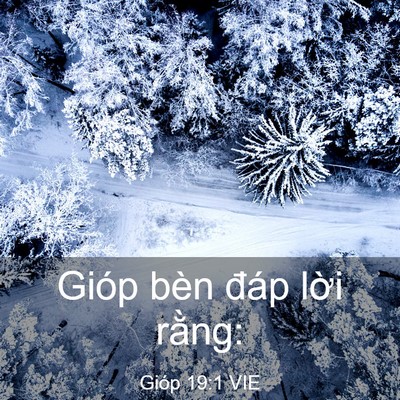 Picture 03 - Gióp 19:1 VIE - Gióp bèn đáp lời - Bible Verse Picture