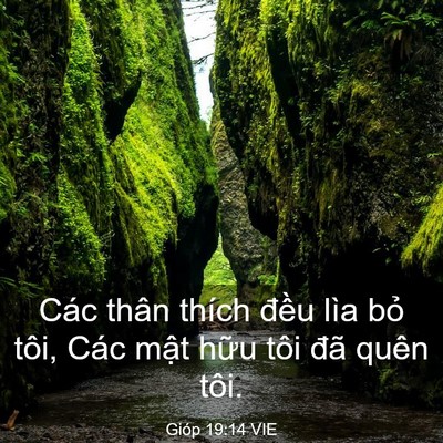Picture 03 - Gióp 19:14 VIE - Các thân thích đều lìa bỏ tôi, Các - Bible Verse Picture