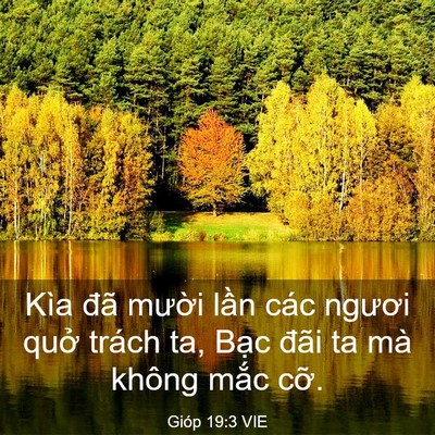 Picture 03 - Gióp 19:3 VIE - Kìa đã mười lần các ngươi quở trách - Bible Verse Picture