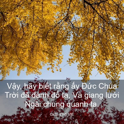 Picture 03 - Gióp 19:6 VIE - Vậy, hãy biết rằng ấy Đức Chúa - Bible Verse Picture