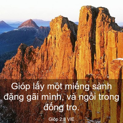 Picture 03 - Gióp 2:8 VIE - Gióp lấy một miếng sành đặng gãi - Bible Verse Picture