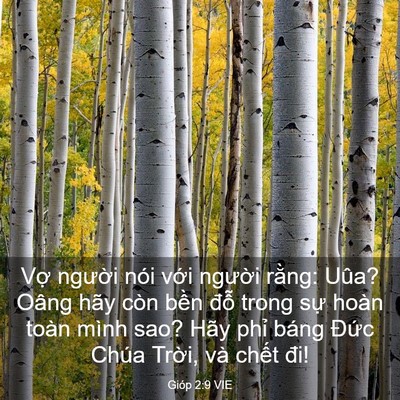 Picture 03 - Gióp 2:9 VIE - Vợ người nói với người rằng: Uûa? - Bible Verse Picture