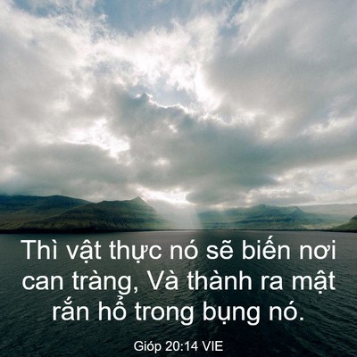 Picture 03 - Gióp 20:14 VIE - Thì vật thực nó sẽ biến nơi can - Bible Verse Picture