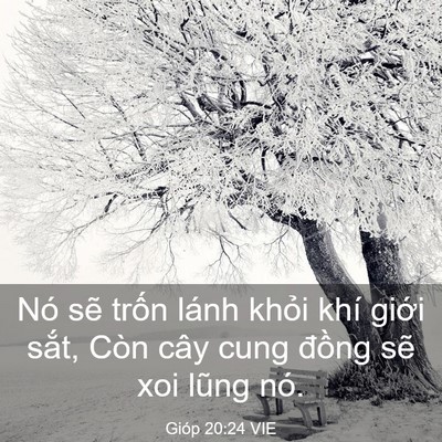 Picture 03 - Gióp 20:24 VIE - Nó sẽ trốn lánh khỏi khí giới sắt, - Bible Verse Picture