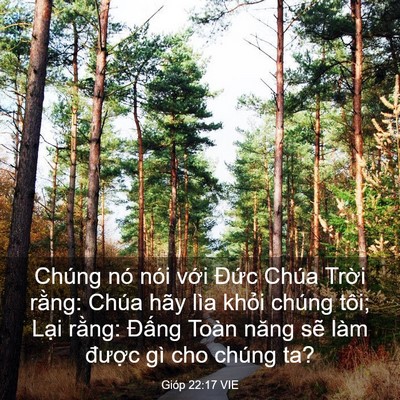 Picture 03 - Gióp 22:17 VIE - Chúng nó nói với Đức Chúa Trời rằng: - Bible Verse Picture
