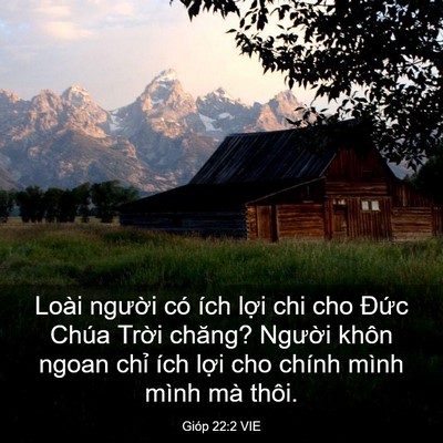 Picture 03 - Gióp 22:2 VIE - Loài người có ích lợi chi cho Đức - Bible Verse Picture
