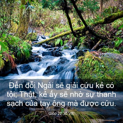 Picture 03 - Gióp 22:30 VIE - Đến đỗi Ngài sẽ giải cứu kẻ có - Bible Verse Picture