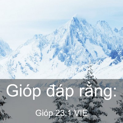 Picture 03 - Gióp 23:1 VIE - Gióp đáp - Bible Verse Picture
