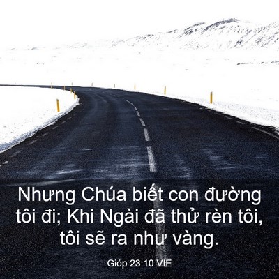 Picture 03 - Gióp 23:10 VIE - Nhưng Chúa biết con đường tôi đi; Khi - Bible Verse Picture