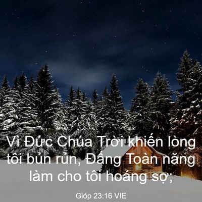 Picture 03 - Gióp 23:16 VIE - Vì Đức Chúa Trời khiến lòng tôi bủn - Bible Verse Picture