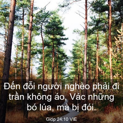 Picture 03 - Gióp 24:10 VIE - Đến đỗi người nghèo phải đi trần - Bible Verse Picture