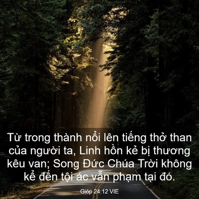 Picture 03 - Gióp 24:12 VIE - Từ trong thành nổi lên tiếng thở than - Bible Verse Picture