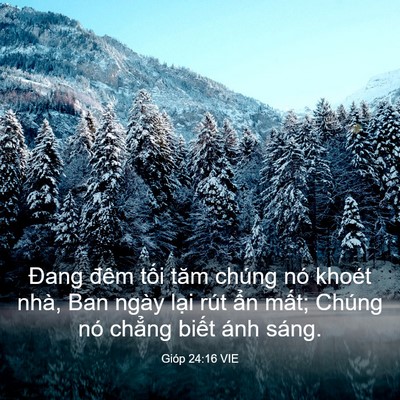 Picture 03 - Gióp 24:16 VIE - Đang đêm tối tăm chúng nó khoét nhà, - Bible Verse Picture