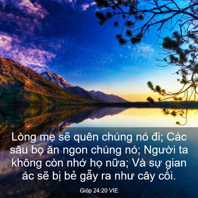 Picture 03 - Gióp 24:20 VIE - Lòng mẹ sẽ quên chúng nó đi; Các sâu - Bible Verse Picture