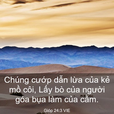 Picture 03 - Gióp 24:3 VIE - Chúng cướp dẫn lừa của kẻ mồ côi, - Bible Verse Picture