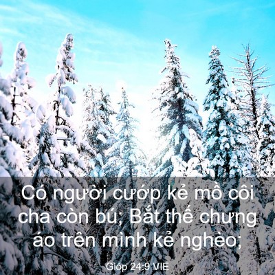 Picture 03 - Gióp 24:9 VIE - Có người cướp kẻ mồ côi cha còn bú; - Bible Verse Picture