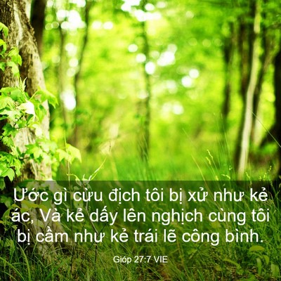 Picture 03 - Gióp 27:7 VIE - Ước gì cừu địch tôi bị xử như kẻ - Bible Verse Picture