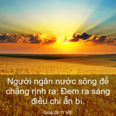 Picture 03 - Gióp 28:11 VIE - Người ngăn nước sông để chẳng rịnh - Bible Verse Picture