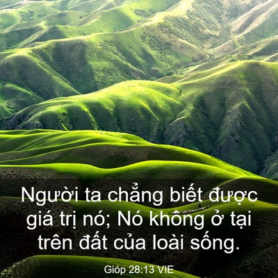 Picture 03 - Gióp 28:13 VIE - Người ta chẳng biết được giá trị - Bible Verse Picture