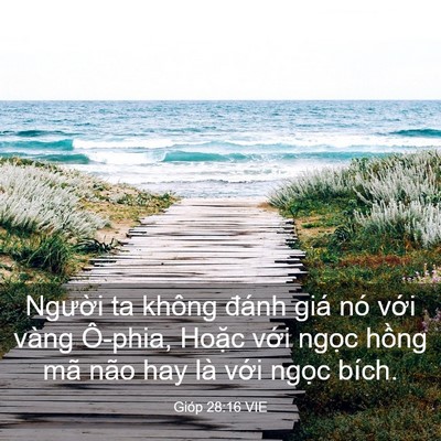 Picture 03 - Gióp 28:16 VIE - Người ta không đánh giá nó với vàng - Bible Verse Picture
