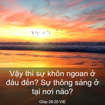 Picture 03 - Gióp 28:20 VIE - Vậy thì sự khôn ngoan ở đâu đến? - Bible Verse Picture