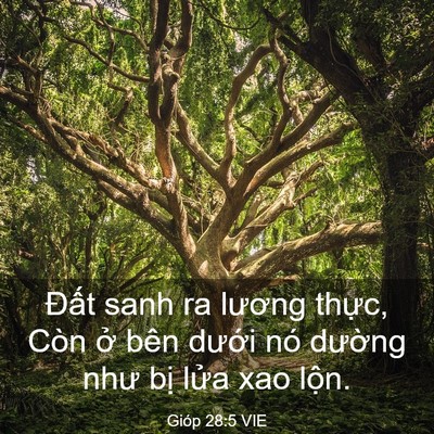 Picture 03 - Gióp 28:5 VIE - Đất sanh ra lương thực, Còn ở bên - Bible Verse Picture