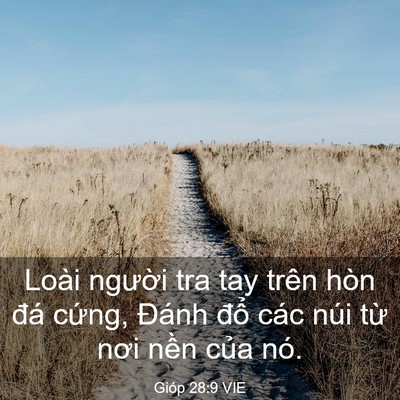 Picture 03 - Gióp 28:9 VIE - Loài người tra tay trên hòn đá cứng, - Bible Verse Picture