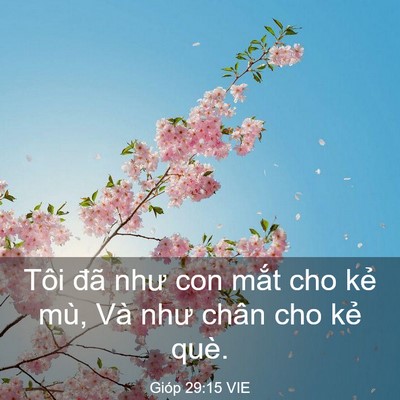 Picture 03 - Gióp 29:15 VIE - Tôi đã như con mắt cho kẻ mù, Và như - Bible Verse Picture