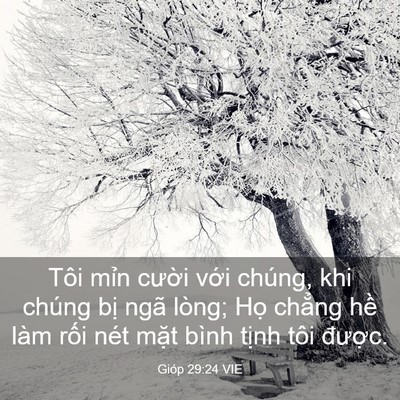 Picture 03 - Gióp 29:24 VIE - Tôi mỉn cười với chúng, khi chúng bị - Bible Verse Picture