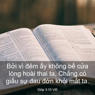 Picture 03 - Gióp 3:10 VIE - Bởi vì đêm ấy không bế cửa lòng - Bible Verse Picture