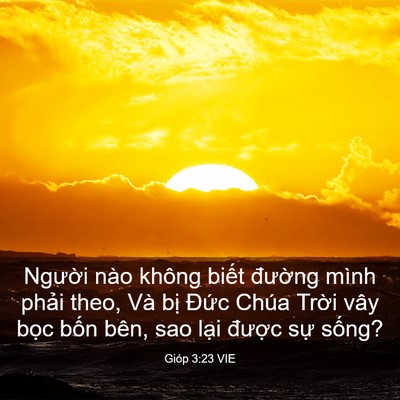 Picture 03 - Gióp 3:23 VIE - Người nào không biết đường mình - Bible Verse Picture
