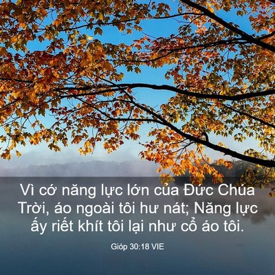 Picture 03 - Gióp 30:18 VIE - Vì cớ năng lực lớn của Đức Chúa - Bible Verse Picture