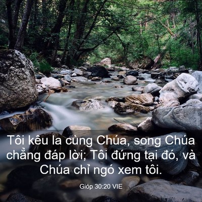 Picture 03 - Gióp 30:20 VIE - Tôi kêu la cùng Chúa, song Chúa chẳng - Bible Verse Picture