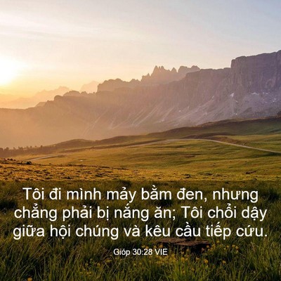 Picture 03 - Gióp 30:28 VIE - Tôi đi mình mảy bằm đen, nhưng chẳng - Bible Verse Picture