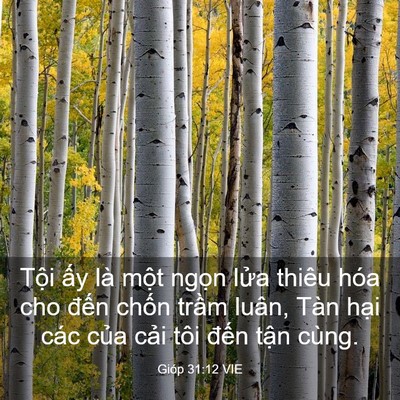Picture 03 - Gióp 31:12 VIE - Tội ấy là một ngọn lửa thiêu hóa cho - Bible Verse Picture