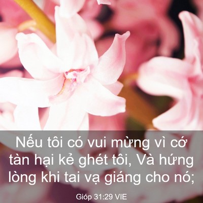 Picture 03 - Gióp 31:29 VIE - Nếu tôi có vui mừng vì cớ tàn hại - Bible Verse Picture
