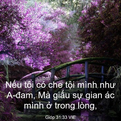 Picture 03 - Gióp 31:33 VIE - Nếu tôi có che tội mình như A-đam, Mà - Bible Verse Picture