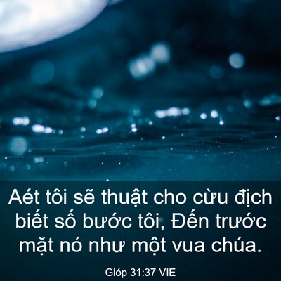 Picture 03 - Gióp 31:37 VIE - Aét tôi sẽ thuật cho cừu địch biết - Bible Verse Picture