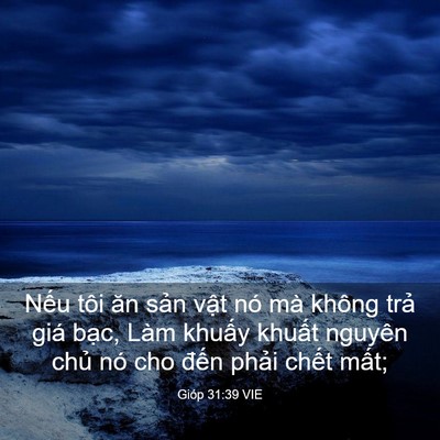 Picture 03 - Gióp 31:39 VIE - Nếu tôi ăn sản vật nó mà không trả - Bible Verse Picture