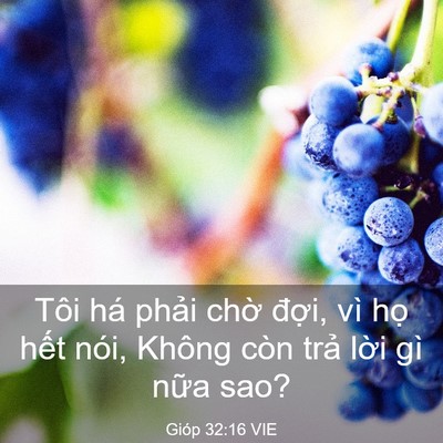 Picture 03 - Gióp 32:16 VIE - Tôi há phải chờ đợi, vì họ hết - Bible Verse Picture